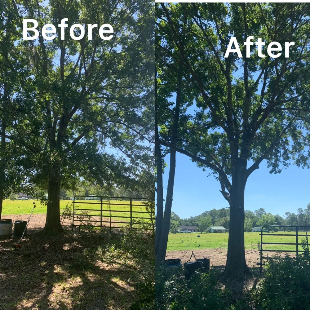 Affordable outdoor landscaping in Mulberry, FL - J.E Landscaping sevice