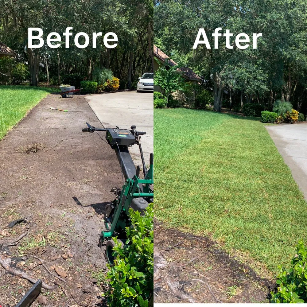 Top-rated yard maintenance near you in Mulberry, FL by J.E Landscaping sevice