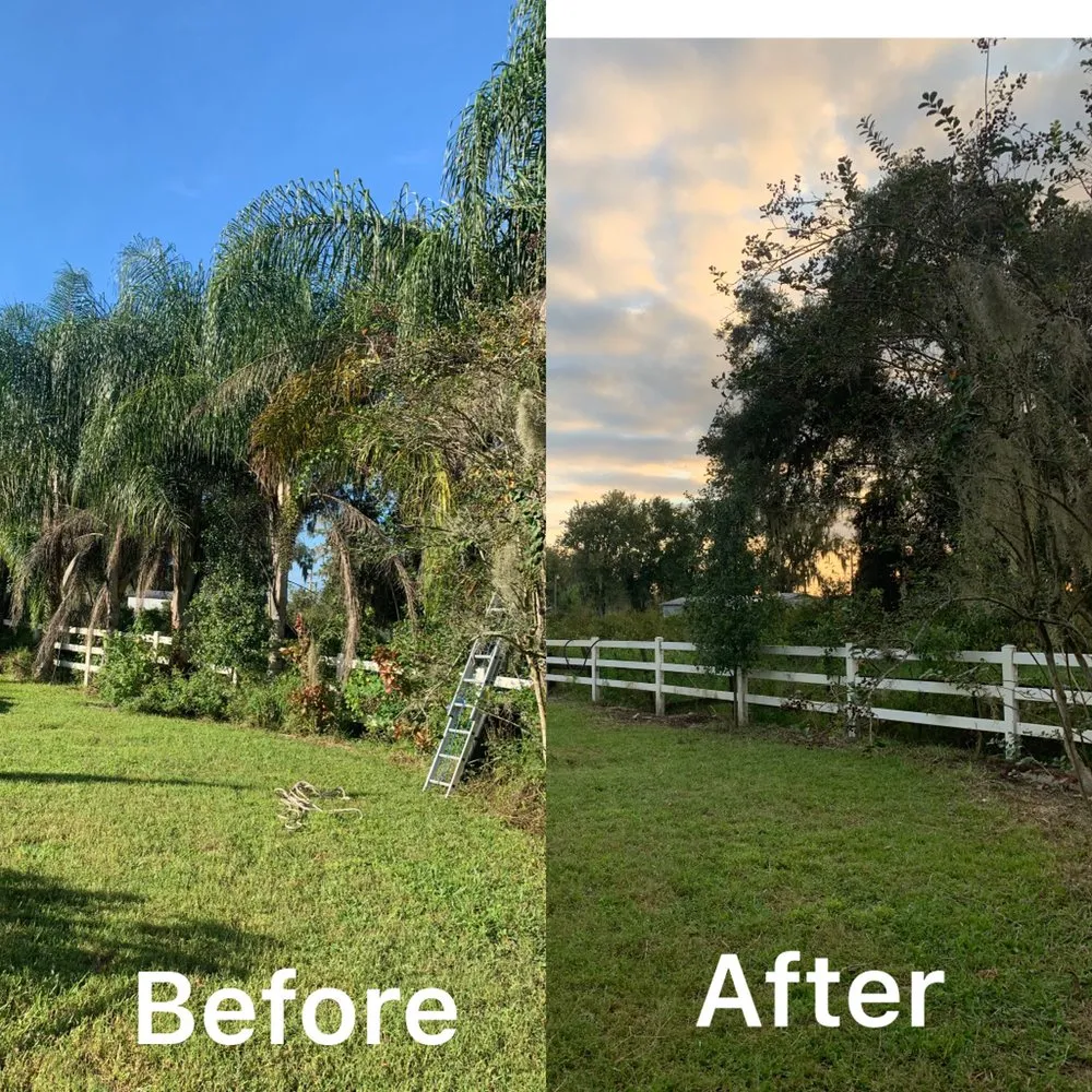 Affordable lawn care service for outdoor upgrades across Mulberry, FL - J.E Landscaping sevice