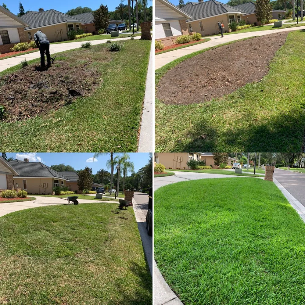 Trusted landscaping services in Mulberry, FL by J.E Landscaping sevice