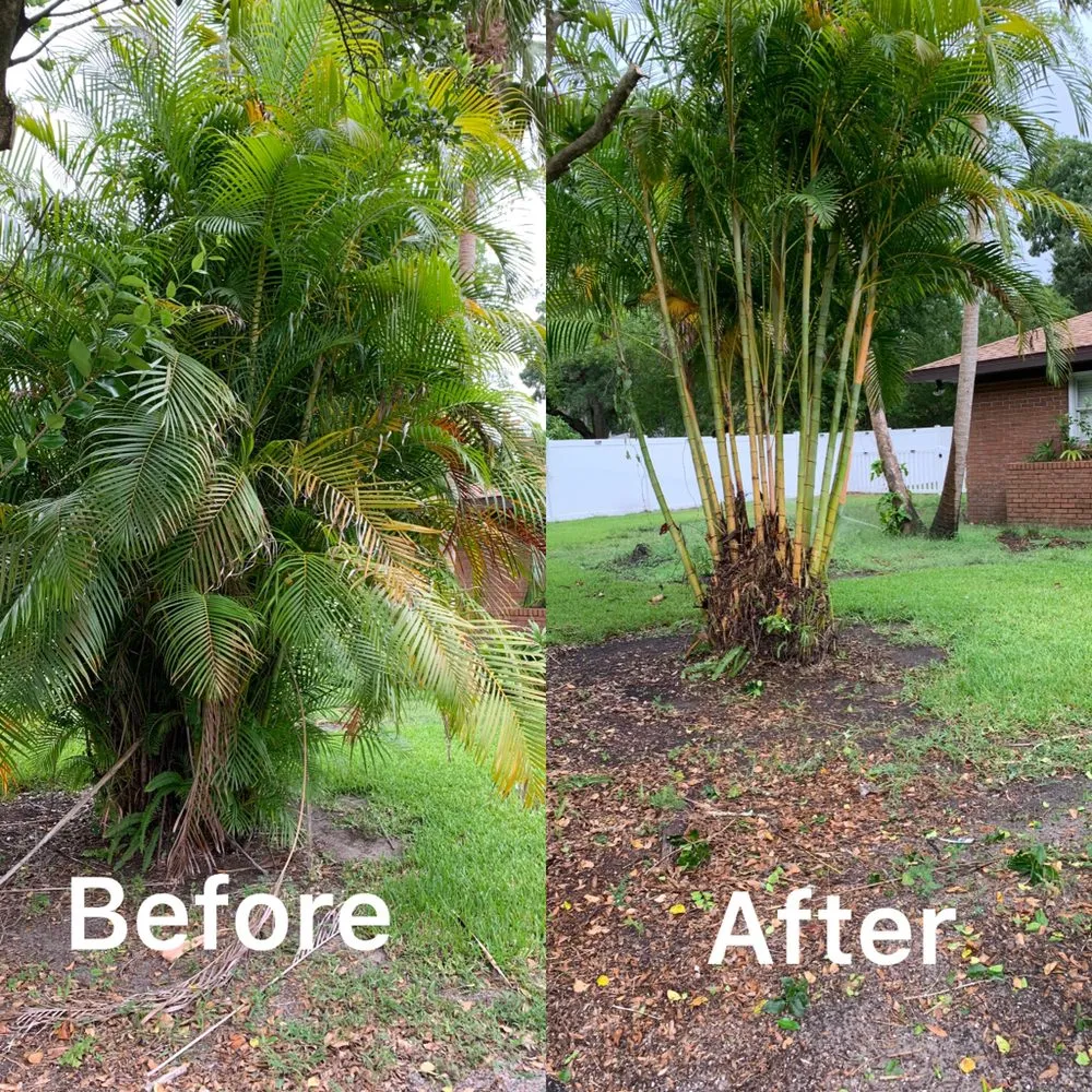 Professional landscaping services experts serving Mulberry, FL - J.E Landscaping sevice