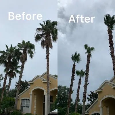 J.E Landscaping sevice