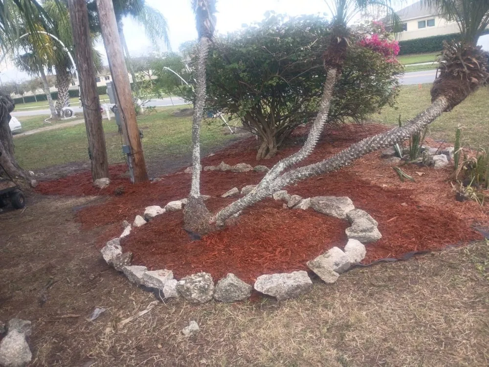 Professional landscape installation in Geneva, FL by J&E Landscaping Solution and Bounce Houses