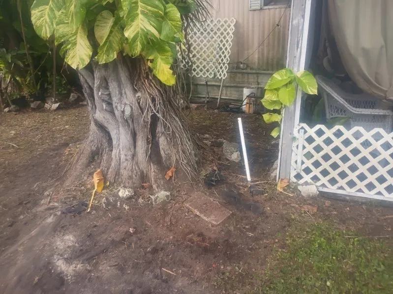 Trusted yard cleanup service in Geneva, FL by J&E Landscaping Solution and Bounce Houses