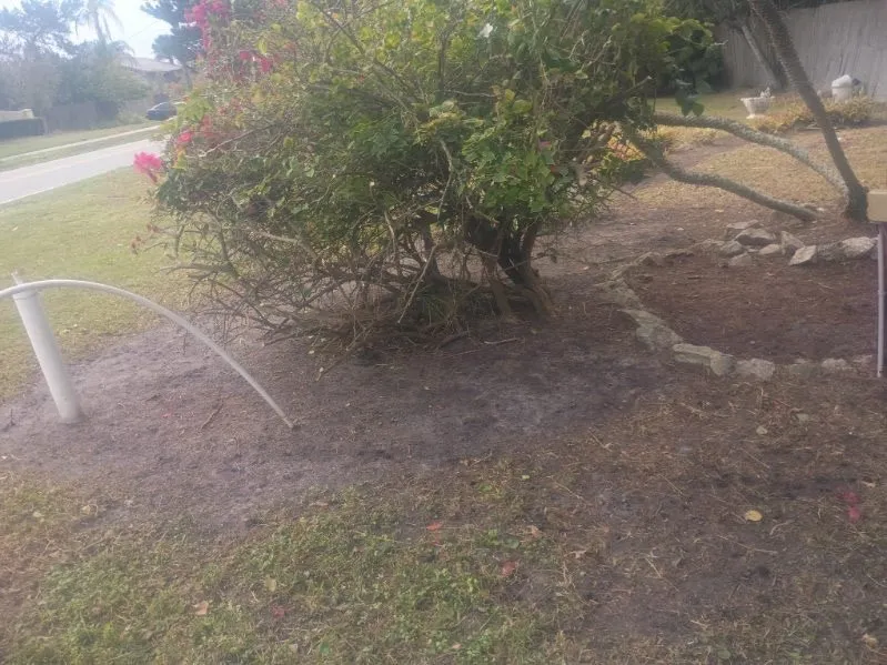 Top-rated residential landscaping experts serving Geneva, FL - J&E Landscaping Solution and Bounce Houses