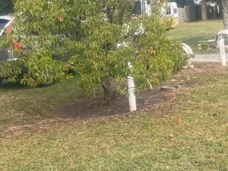 Top-rated landscape installation experts serving Geneva, FL - J&E Landscaping Solution and Bounce Houses