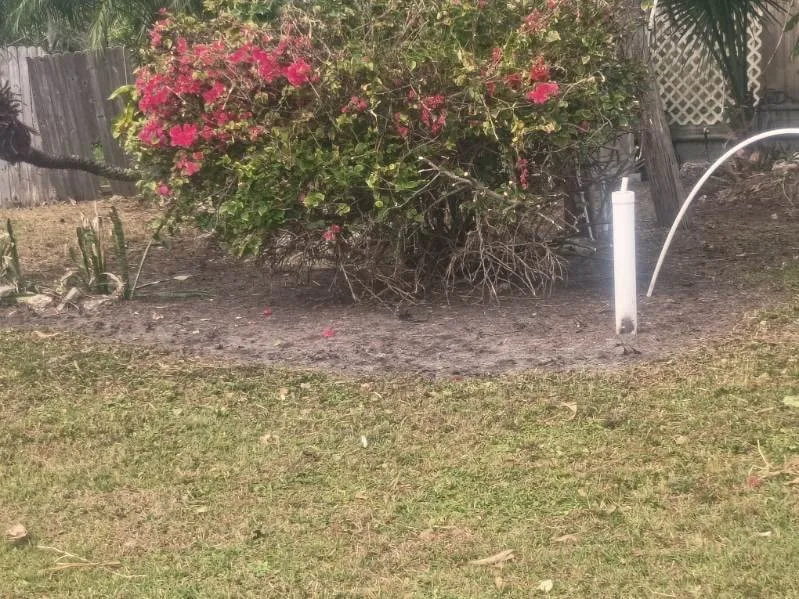 Local lawn care service experts serving Geneva, FL - J&E Landscaping Solution and Bounce Houses