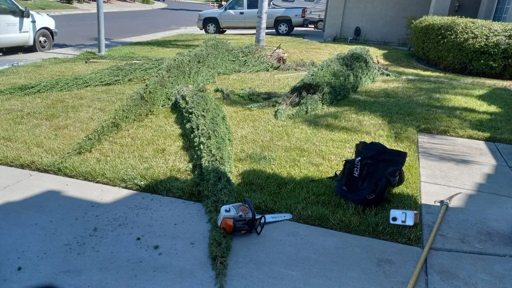 Expert yard maintenance in Walnut Creek, CA by JE Landscaping, Tree Service and Hauling