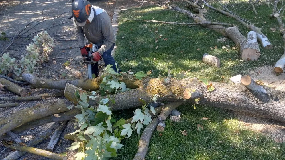 Expert yard cleanup service for homes across Walnut Creek, CA - JE Landscaping, Tree Service and Hauling