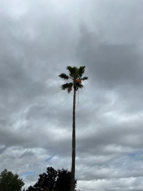 Reliable garden landscaping experts serving Walnut Creek, CA - JE Landscaping, Tree Service and Hauling