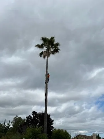 Expert lawn mowing service experts serving Walnut Creek, CA - JE Landscaping, Tree Service and Hauling