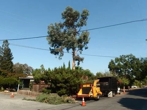Reliable outdoor landscaping in Walnut Creek, CA - JE Landscaping, Tree Service and Hauling