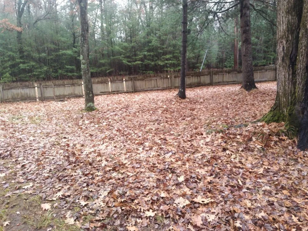 Professional residential landscaping experts serving Turner, MI - J&E Landscaping
