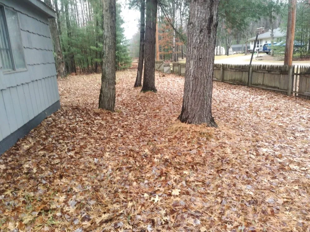 Affordable yard maintenance for residential properties across Turner, MI - J&E Landscaping