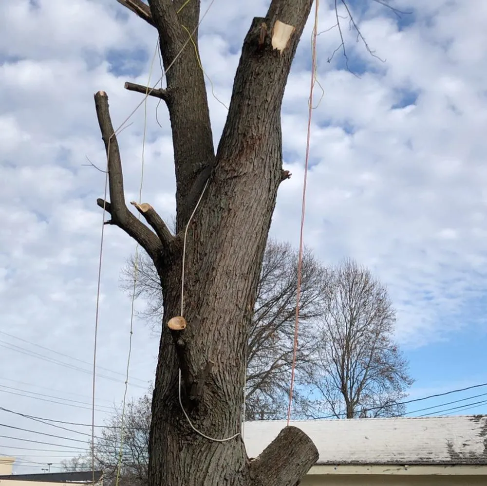 Custom lawn care service in Valparaiso, IN - J.E. Landscaping