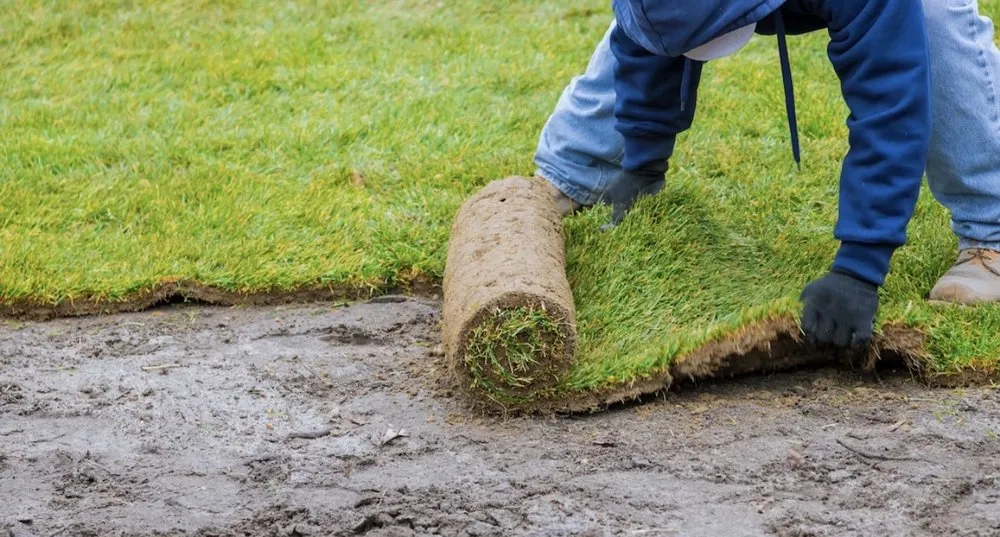 Custom landscape design in Warrington, PA - J&E Landscaping&treeservice