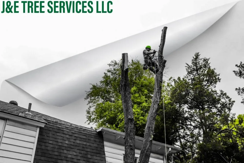 Custom yard maintenance experts serving Oklahoma city, OK - J&E Lawn Landscaping