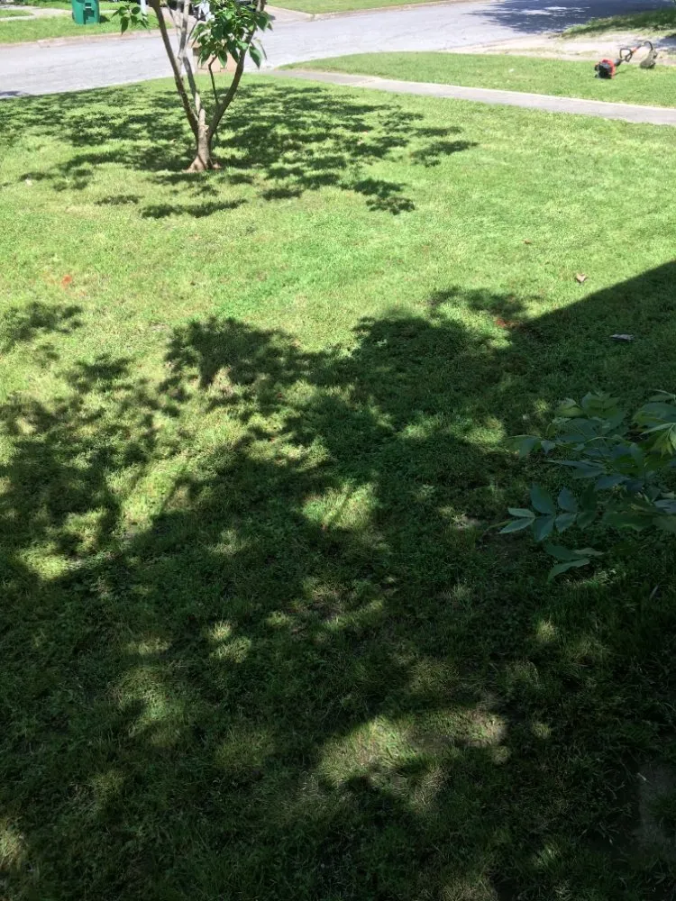 Top-rated residential landscaping near you across Gainesville, TX - J&E Lawn Service