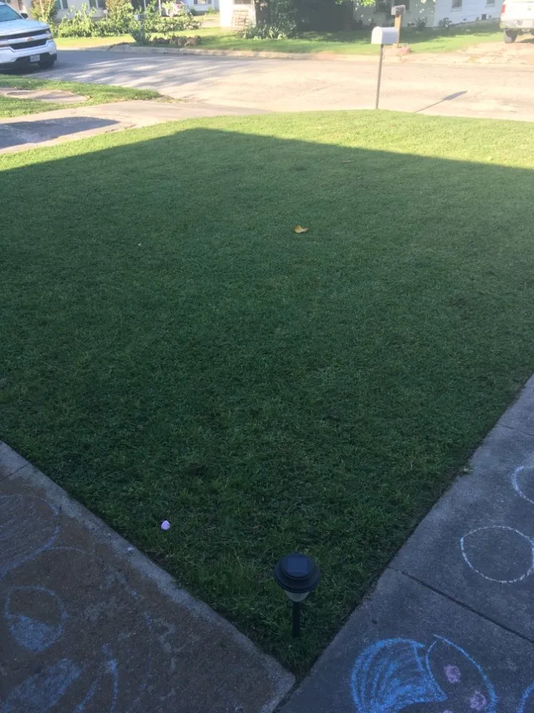 Affordable yard cleanup service for outdoor upgrades in Gainesville, TX by J&E Lawn Service