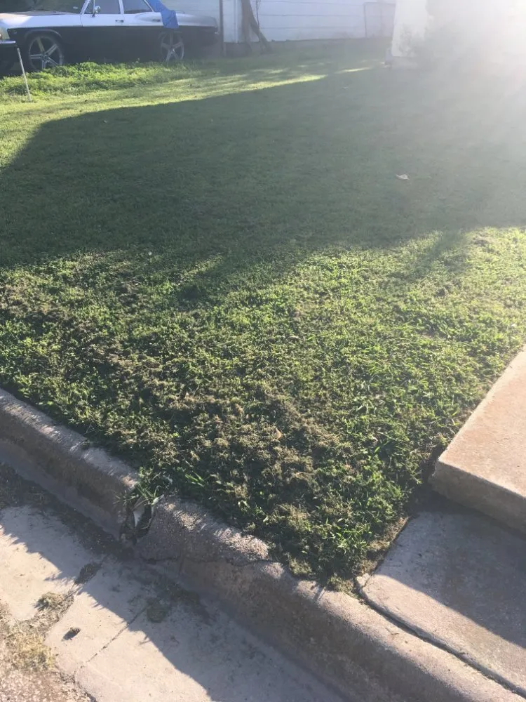 Affordable residential landscaping in Gainesville, TX by J&E Lawn Service