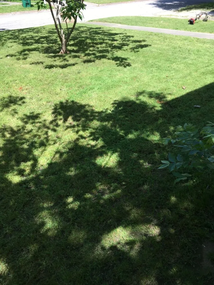 Trusted garden landscaping in Gainesville, TX by J&E Lawn Service