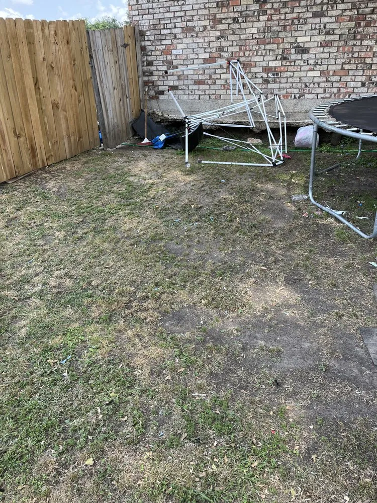 Custom yard maintenance experts serving Harvey, LA - JE Lawn Service