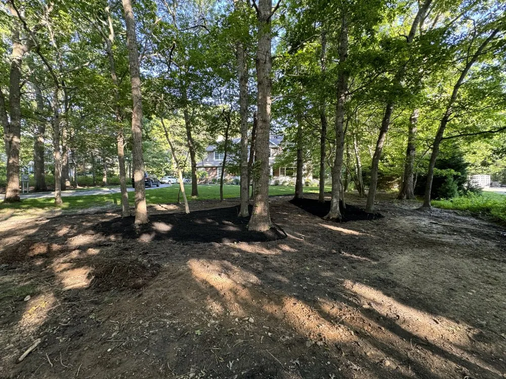 Affordable lawn care service in Water Mill, NY - J&E Nursery and Property Management