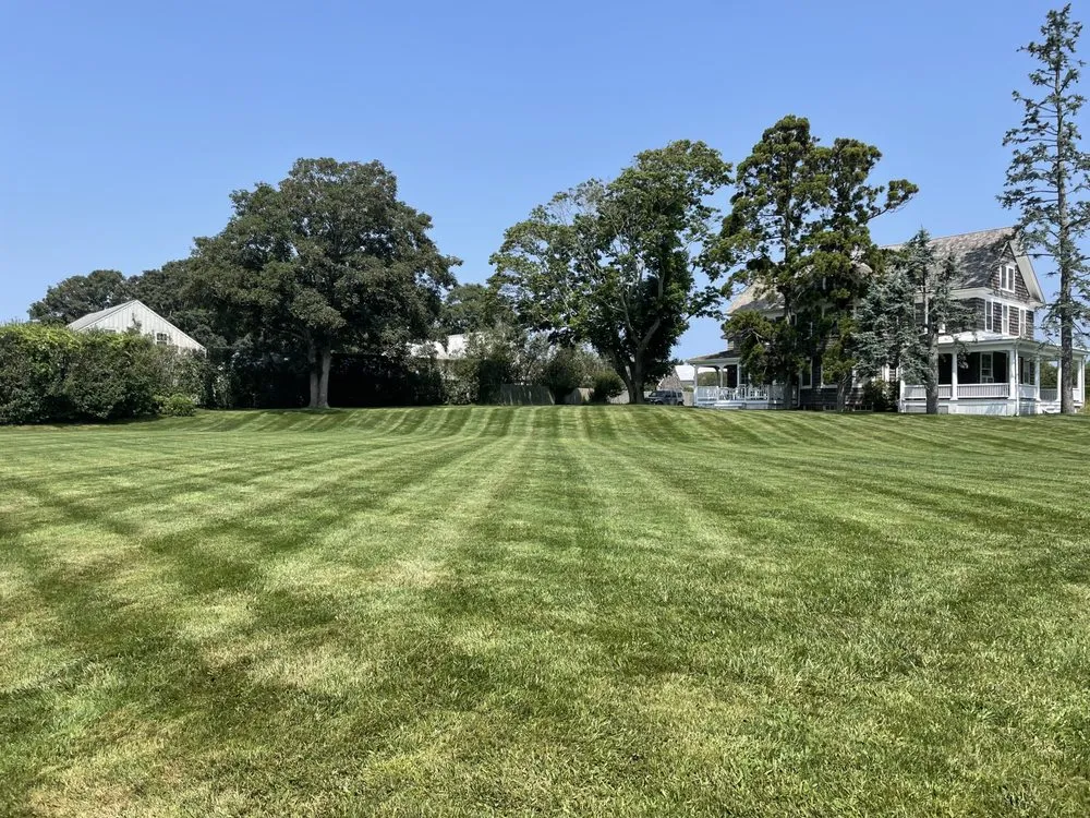 Trusted landscape installation for outdoor upgrades in Water Mill, NY by J&E Nursery and Property Management