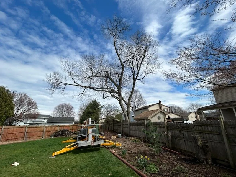 Trusted lawn care service with custom design across Temple, PA - J.E. Potteiger Tree Service