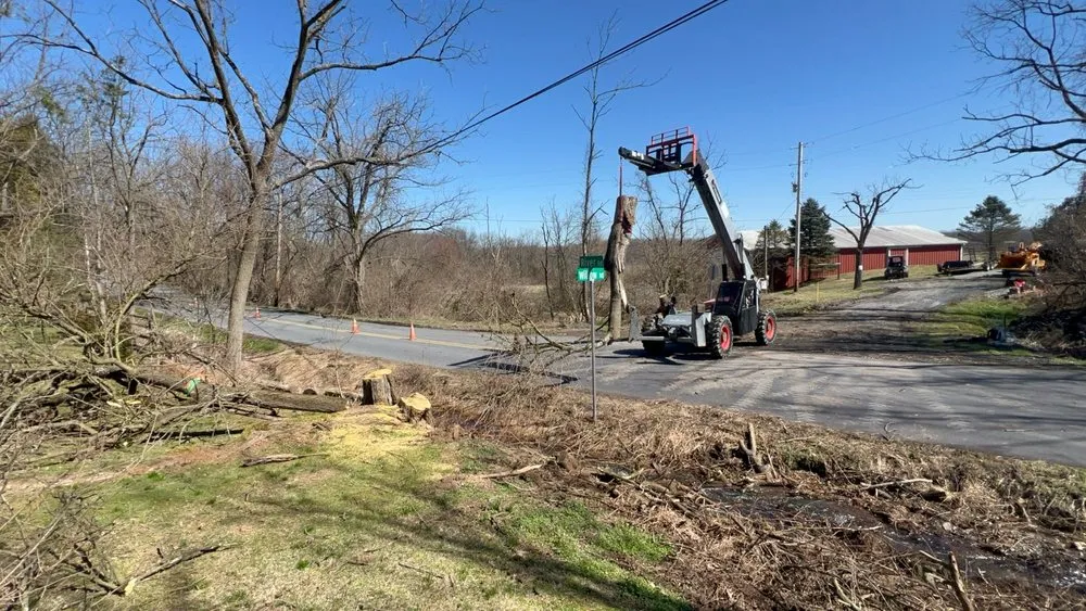 Custom garden landscaping for outdoor upgrades in Temple, PA by J.E. Potteiger Tree Service