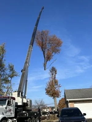 J.E. Potteiger Tree Service