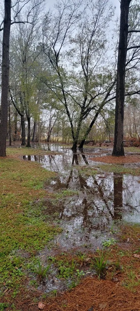 Top-rated landscape design experts serving Crosby, TX - JE Premium Services