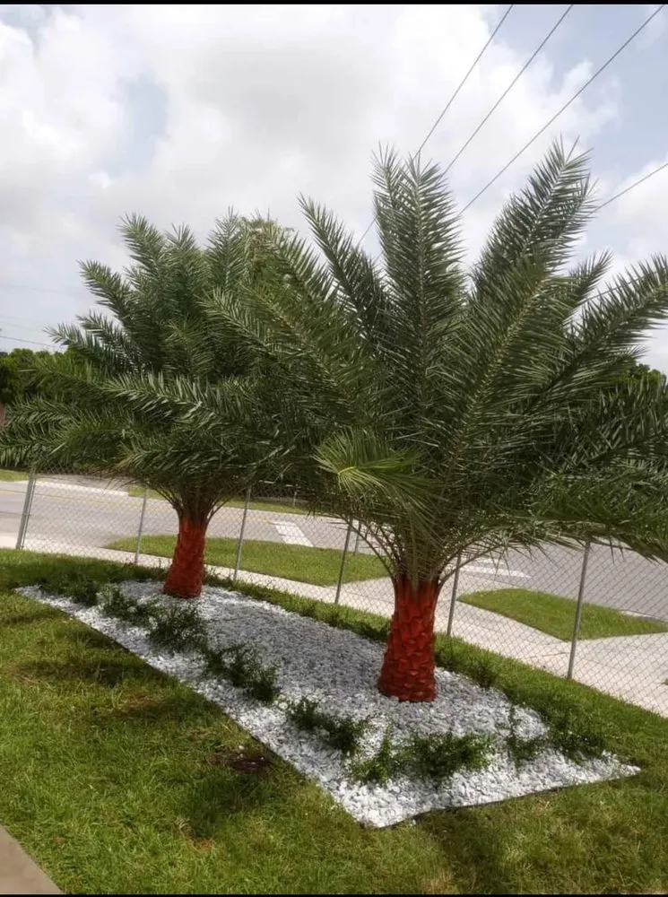 Expert lawn mowing service in Miami, FL by J&E Services