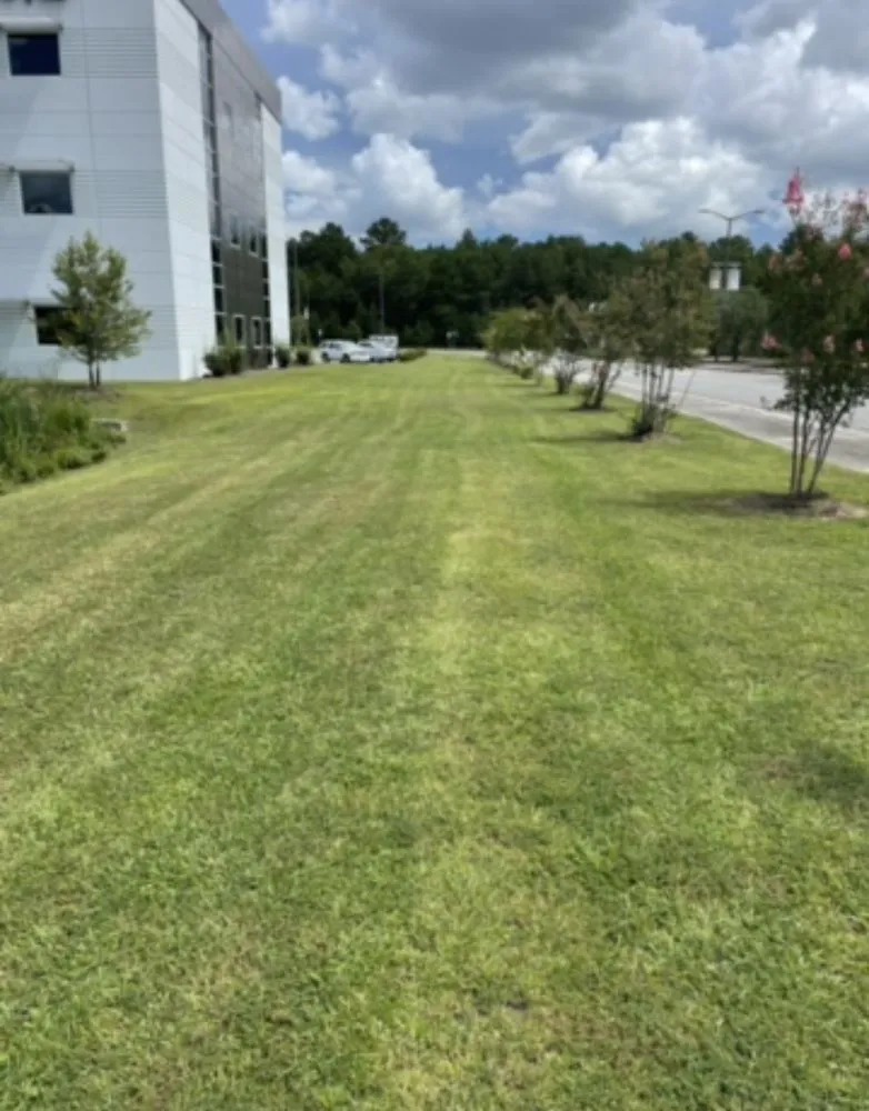 Affordable lawn mowing service experts serving Reidsville, GA - JE Southeast Landscaping