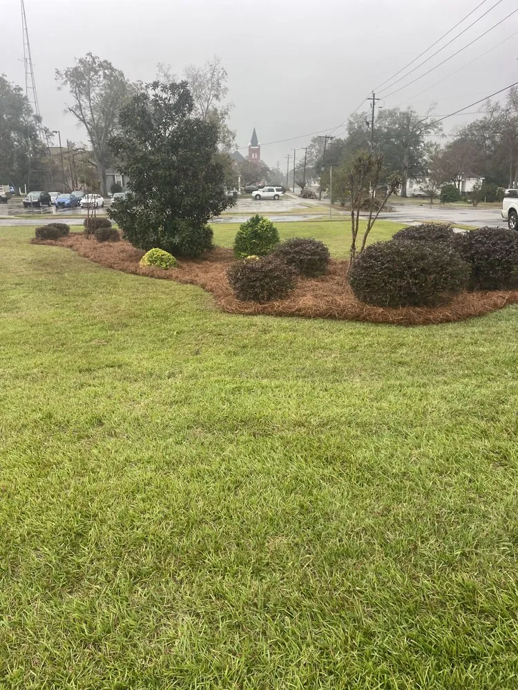 Trusted landscape design for outdoor upgrades across Reidsville, GA - JE Southeast Landscaping