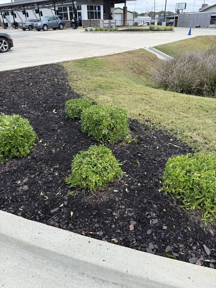 Professional yard cleanup service for homes across Reidsville, GA - JE Southeast Landscaping