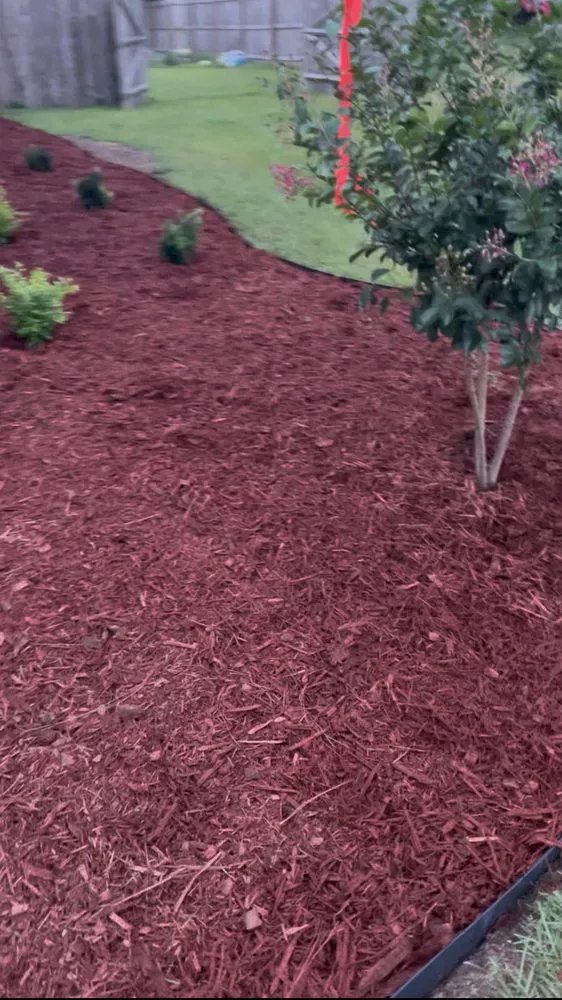 Trusted lawn care service for outdoor upgrades across Reidsville, GA - JE Southeast Landscaping