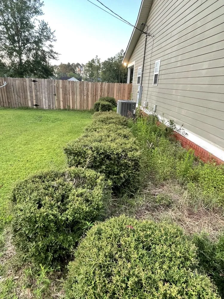 Trusted yard maintenance for year-round maintenance across Reidsville, GA - JE Southeast Landscaping