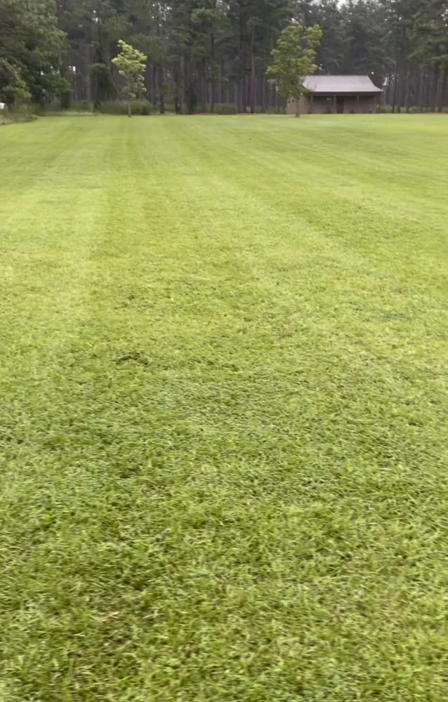 Expert garden landscaping for year-round maintenance in Reidsville, GA by JE Southeast Landscaping