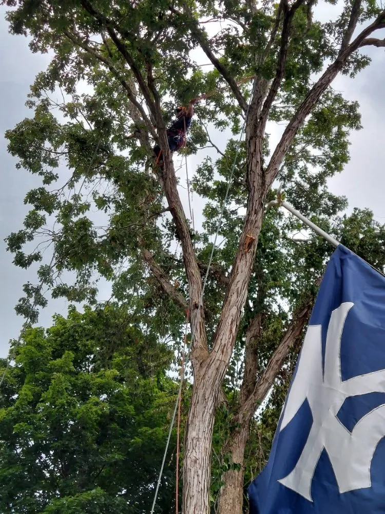 Trusted lawn mowing service for beautiful yards in Central Islip, NY by JE Tree & Landcaping Service