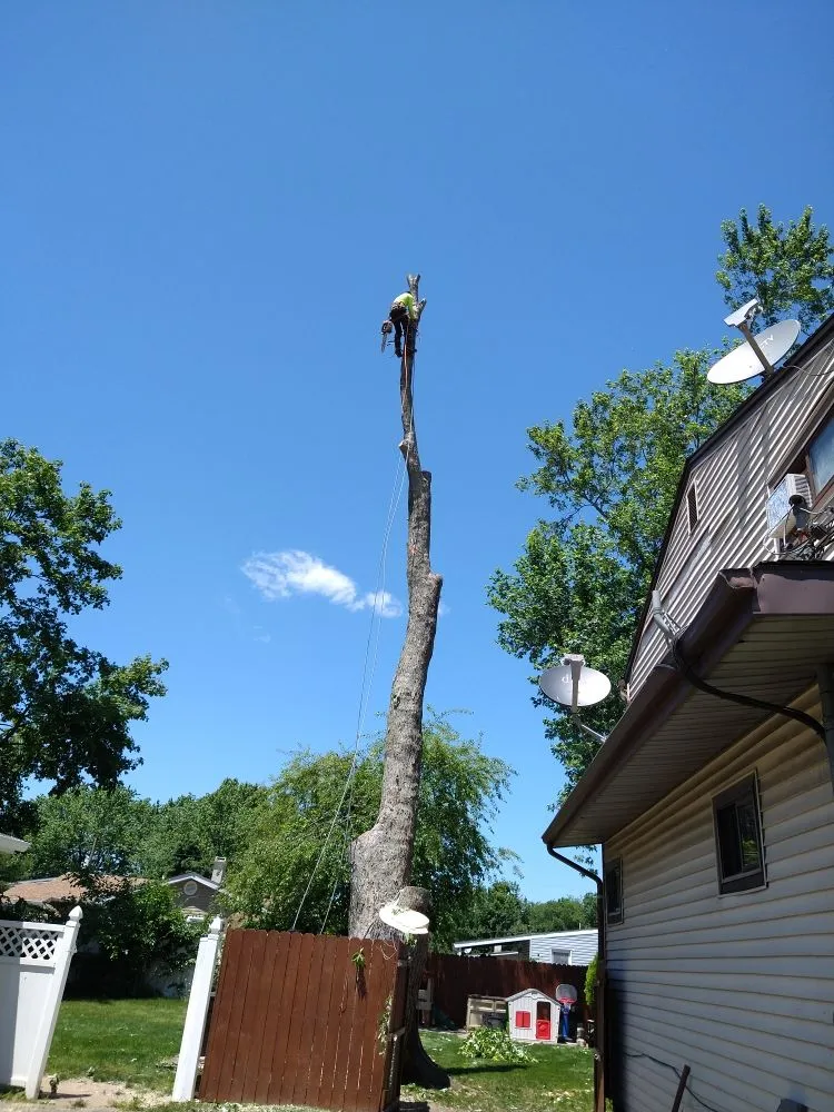 Top-rated landscaping services in Central Islip, NY - JE Tree & Landcaping Service