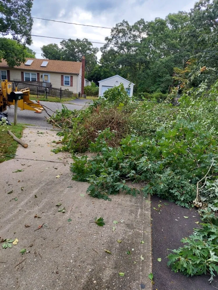 Local landscaping services for outdoor upgrades across Central Islip, NY - JE Tree & Landcaping Service