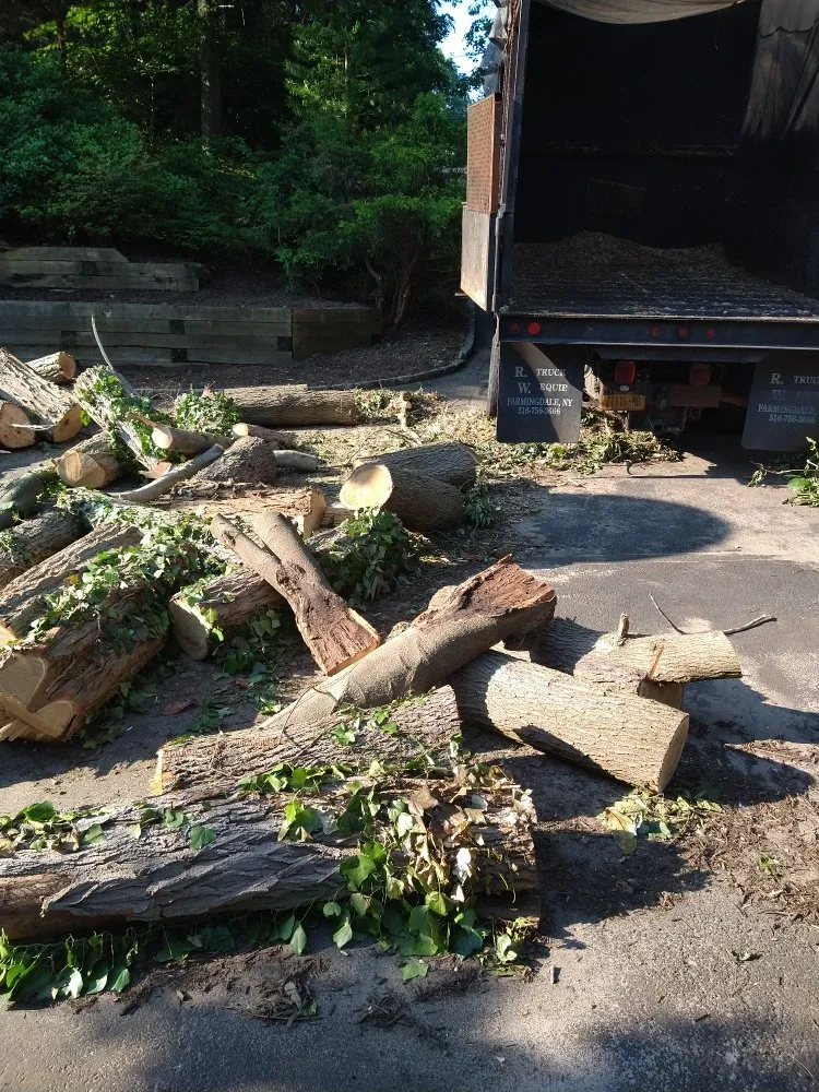 Professional landscaping services with custom design across Central Islip, NY - JE Tree & Landcaping Service