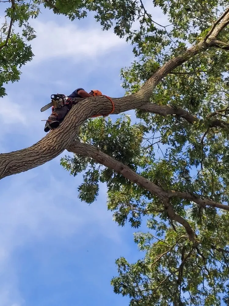 Affordable outdoor landscaping experts serving Central Islip, NY - JE Tree & Landcaping Service