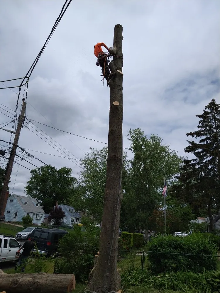 Affordable garden landscaping for homes in Central Islip, NY by JE Tree & Landcaping Service
