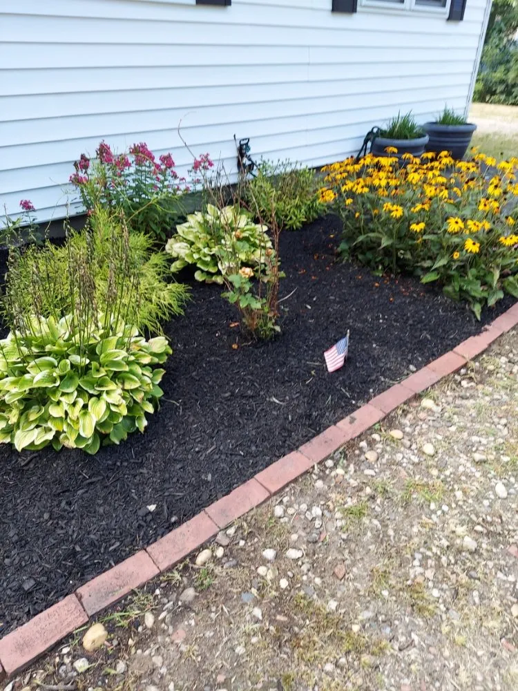 Reliable yard cleanup service in Central Islip, NY by JE Tree & Landcaping Service