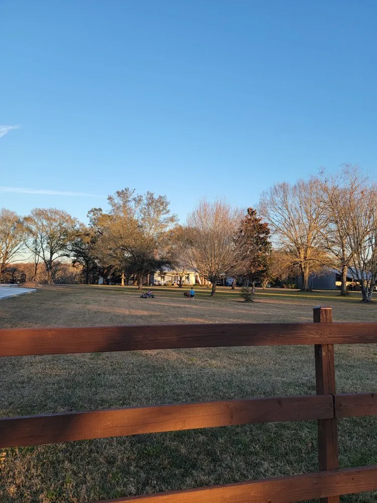 Expert yard cleanup service in Carencro, LA by JE Works