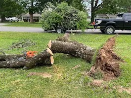 Expert lawn mowing service for outdoor upgrades across Bowling Green, KY - JEA Lawn Service