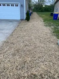 Affordable yard cleanup service experts serving Bowling Green, KY - JEA Lawn Service