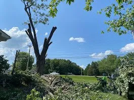 Top-rated garden landscaping in Bowling Green, KY by JEA Lawn Service